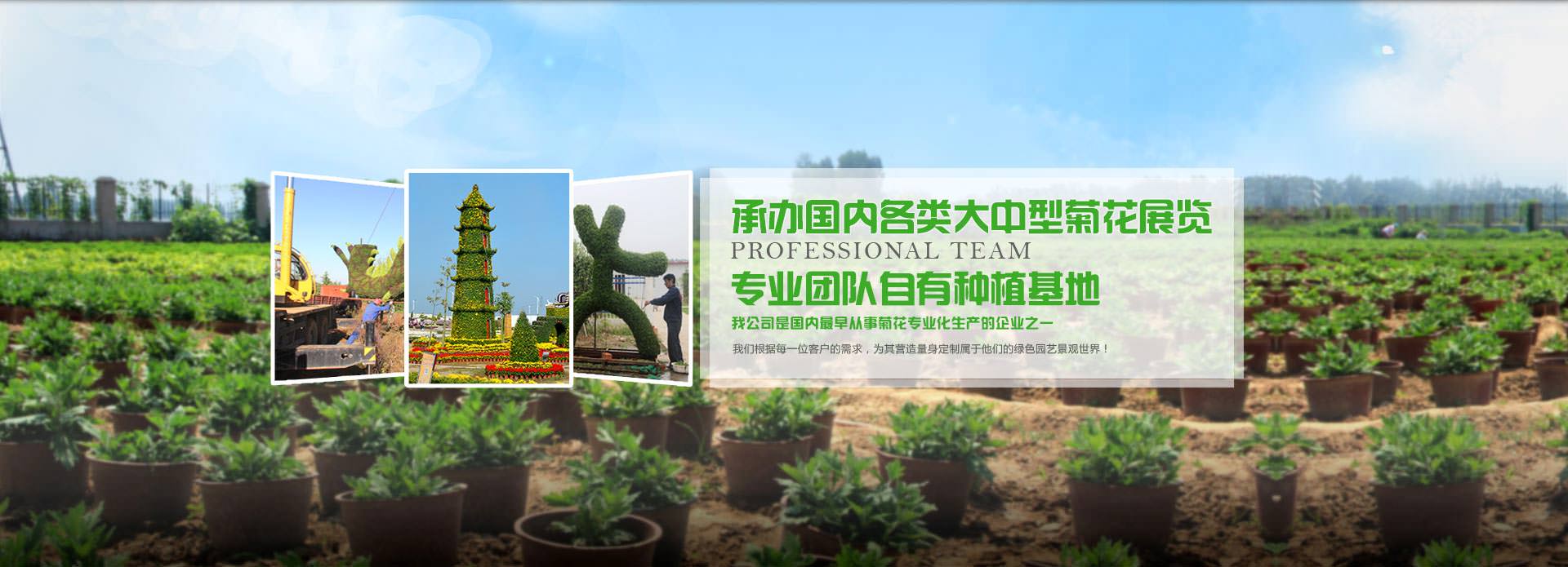 水質(zhì)在線分析儀