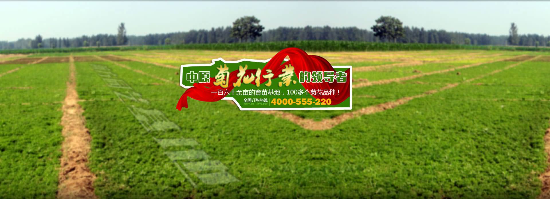 多參數(shù)水質(zhì)在線監(jiān)測(cè)儀
